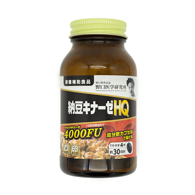 野口医学研究所 納豆キナーゼEX 90粒 3000FU 賞味期限2027.07