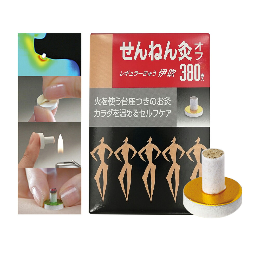 レギュラー 81個 伊吹 せんねん灸オフ - 9