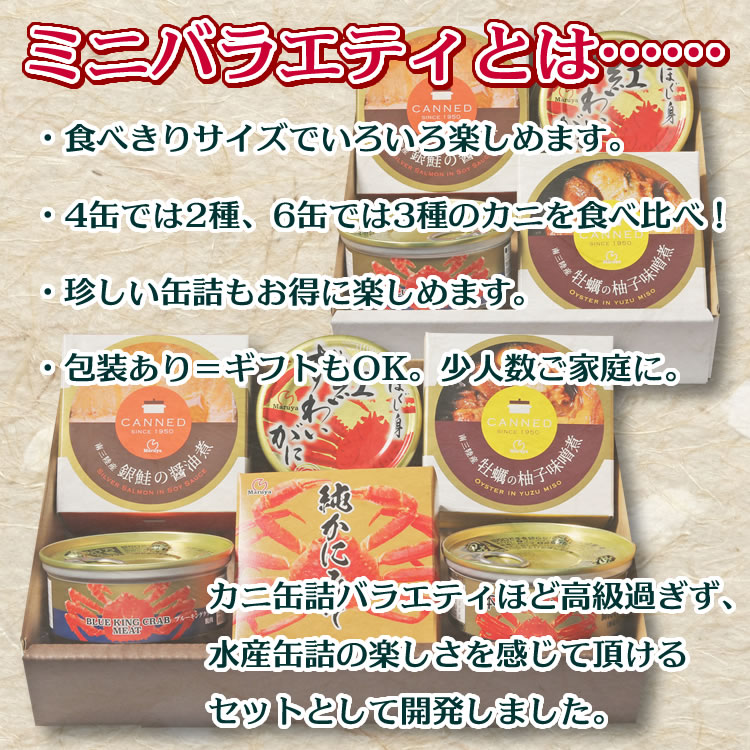 ミニバラエティとは
