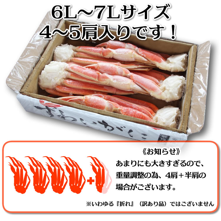 箱の説明（化粧箱）