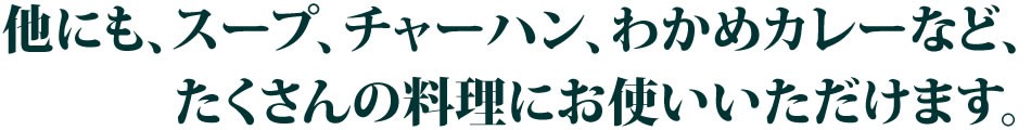 いろいろお使い頂けます