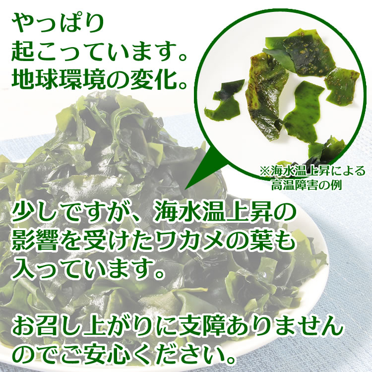 やっぱり起こっています。地球環境の変化。