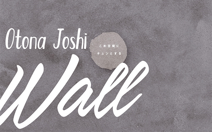 低価2023 Otona Joshi Wall colorI 5kgセット(約7平米/2回塗り)送料