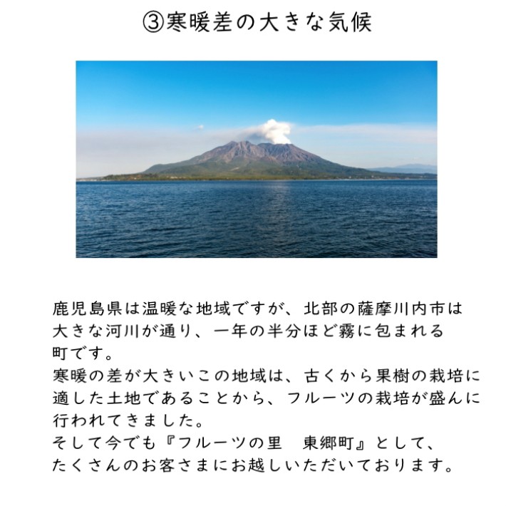 種無し品種ぶどう３色セット約1 5kg 化粧箱ギフト 贈答用 8月中旬頃から収穫開始 送料無料 クール便発送 Grape3set15kg おひさまとくだもの 通販 Yahoo ショッピング
