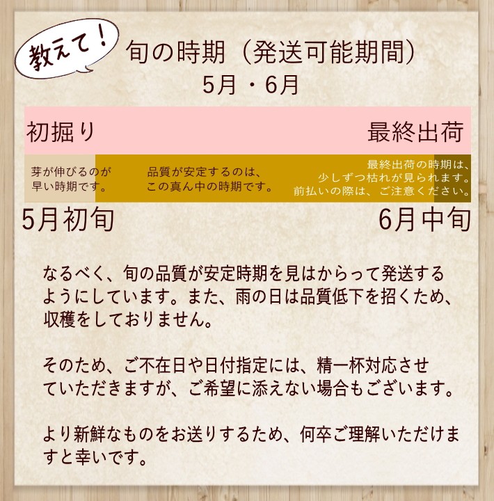 赤らっきょう1 8kg 5月中旬より発送開始 Akarakkyo18 おひさまとくだもの 通販 Yahoo ショッピング