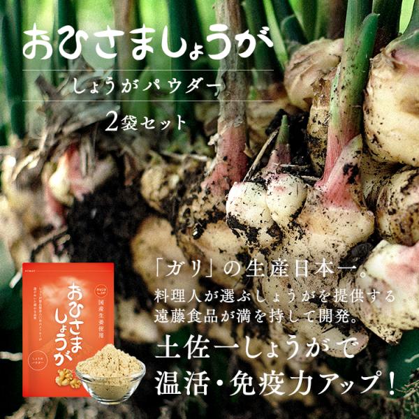 しょうがパウダー 2袋セット おひさましょうが 国産 高知県産 生姜パウダー 無添加 オーガニック 生姜 ショウガ 生姜粉末 乾燥生姜 25g | 