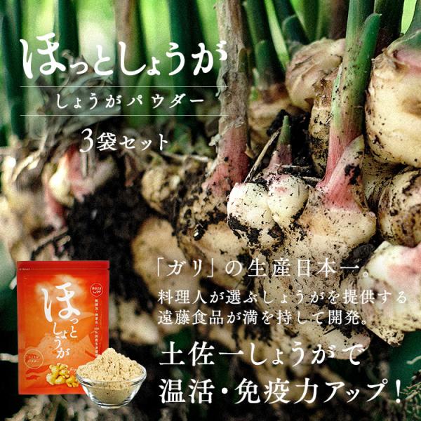 しょうがパウダー 3袋セット おひさましょうが 国産 高知県産 生姜パウダー 無添加 オーガニック 生姜 ショウガ 生姜粉末 乾燥生姜 25g | 