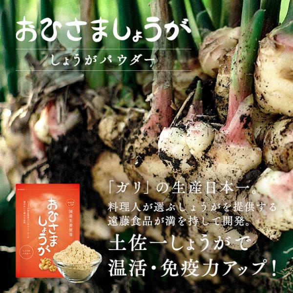 しょうがパウダー おひさましょうが 国産 高知県産土佐一生姜 抹消体温対策 温活 生姜パウダー 無添加 生姜 ショウガ 25g