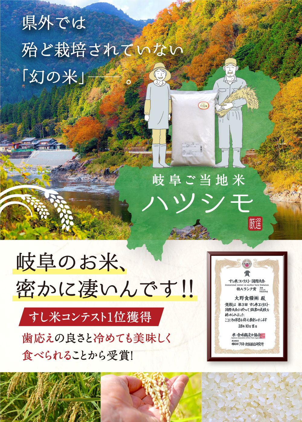 お米 米 30kg ハツシモ 白米 玄米 無洗米 3分 5分 精米オーダー可 送料無料 岐阜県産 令和5年産