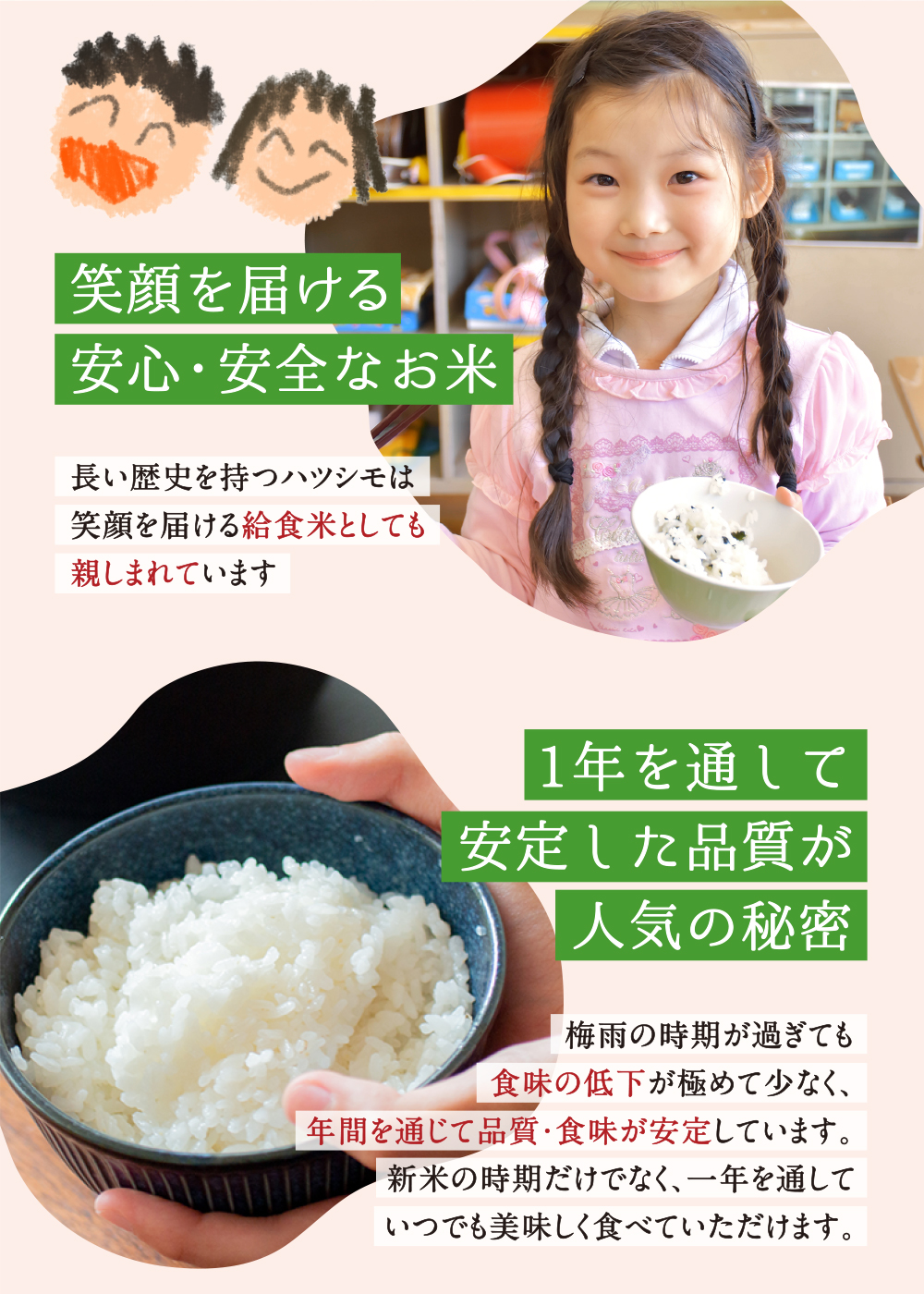 お米 米 10kg ハツシモ 白米 玄米 無洗米 3分 5分 精米オーダー