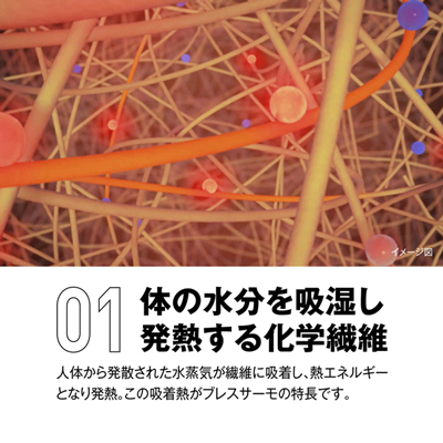 希少 ミズノ Mizuno 日本プロスキー教師協会 SIA ブレスサーモ 防水 撥水 ジャケット L 薄緑系 グリーン メンズ スキー ウエア スノー 冬 楽天市場】ミズノ公式 【発熱素材】ブレスサーモウォーマー