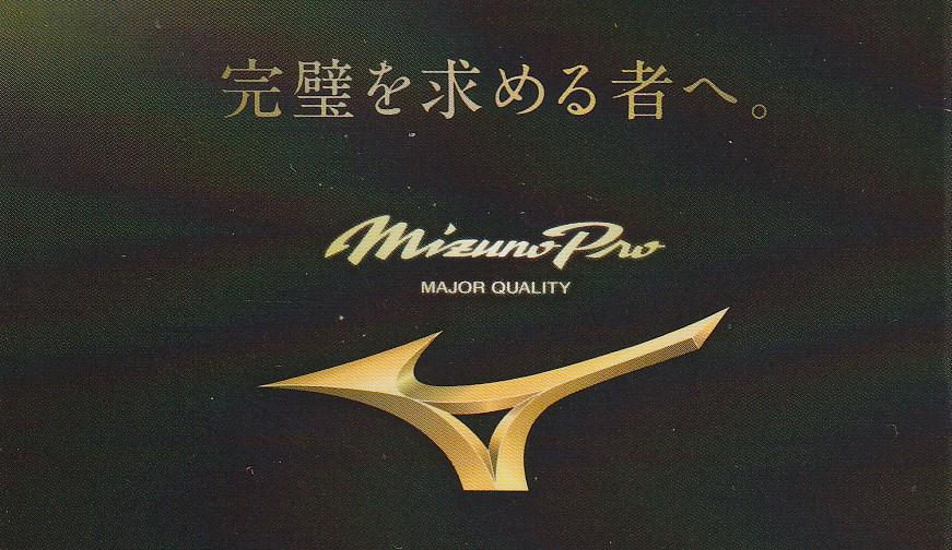 Mizuno Pro 硬式グローブ 野球グローブ ミズノプロ mizunopro BSS限定