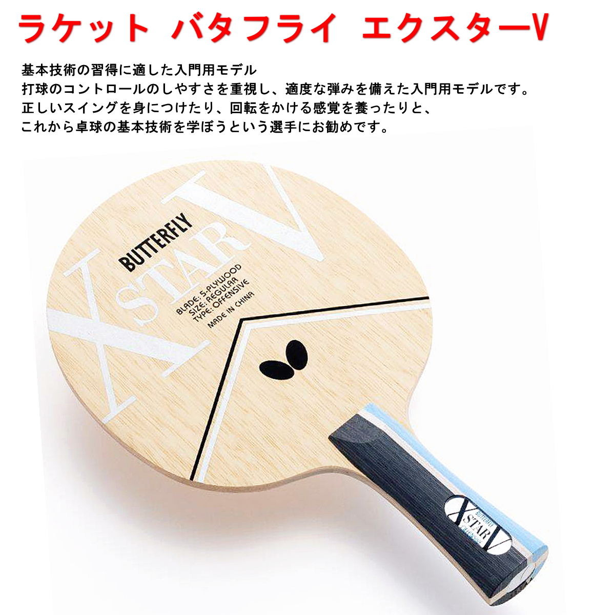 バタフライ（Butterfly） 卓球セット 初心者 新入生 部活 入門セット