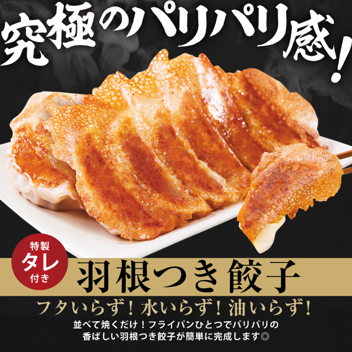 大阪王将 【複数購入でおまけ付き】 餃子 取り寄せ よくばり羽根つき
