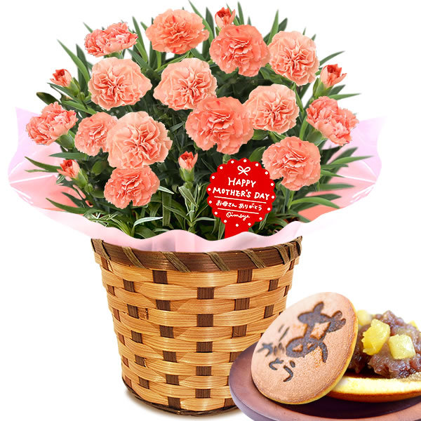 母の日 23 プレゼント ギフト 花 母の日 ギフト プレゼント カーネーション 鉢植え 花鉢 お菓子 スイーツ ギフトランキング 5号鉢 5 5016 花とスイーツ おいもや 通販 Yahoo ショッピング