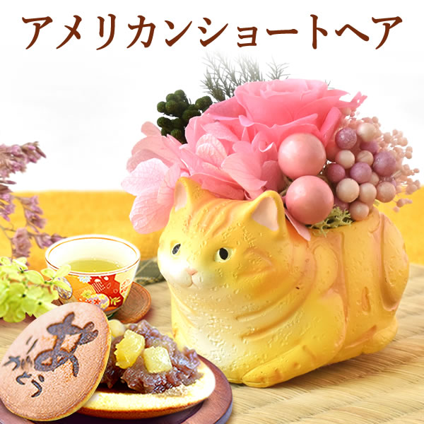 おいもや 誕生日 プレゼント 猫 猫好き 花 ギフト 花とスイーツ