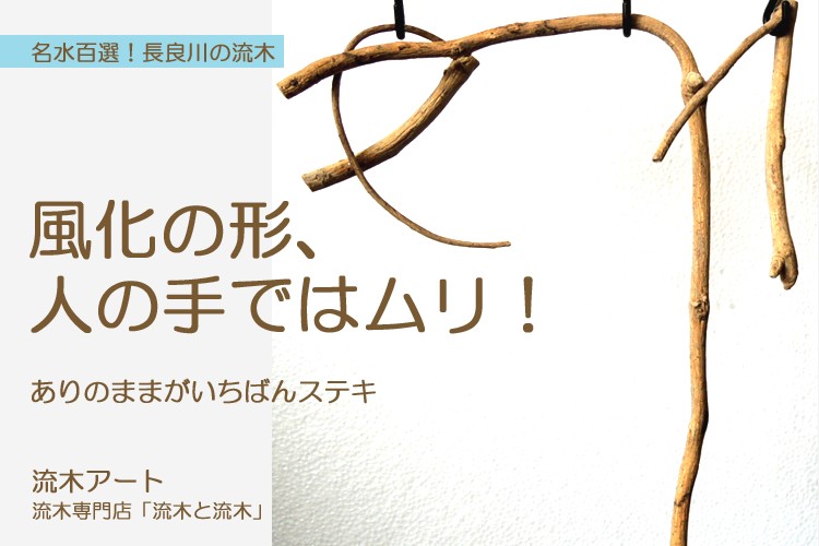 名水百選！長良川の流木。風化の形、人の手ではムリ！ありのままが一番ステキ。流木専門店「流木と流木」の流木アートは送料無料、返金保証。