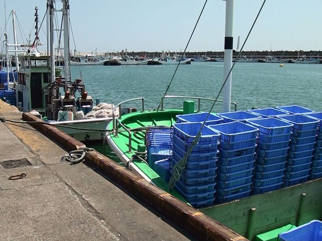 茨城の特産品 魚政のしらす 大洗港
