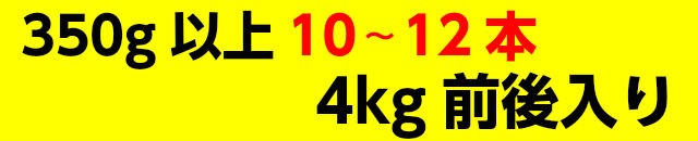 とうもろこし 350g以上 10〜12本 4kg前後でお届けします。