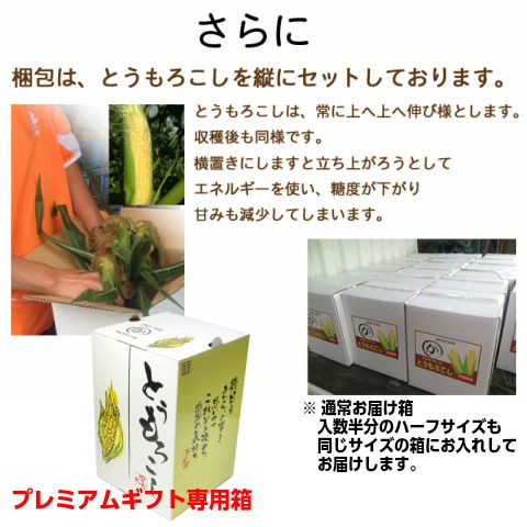 とうもろこし 甘い トウモロコシ 味来 4kg...の詳細画像4