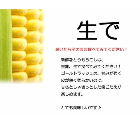 とうもろこし 甘い トウモロコシ 味来 4kg...の詳細画像5