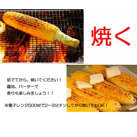 りりお★とうもろこし10本とマンゴー2kg 楽天市場】北海道美瑛産とうもろこし 秀品（M〜2Lサイズ）× 10