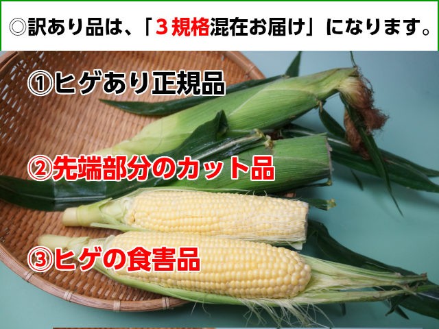 トウモロコシ訳あり品の写真を紹介