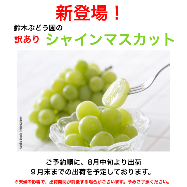 シャインマスカット 訳ありのおすすめ人気商品一覧 通販 - Yahoo