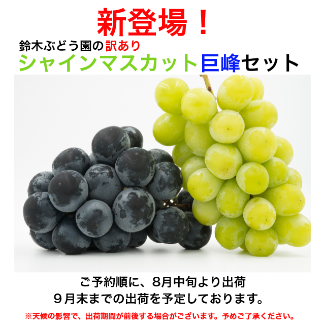 果物　葡萄　ぶどう　ブドウ　シャインマスカット　訳あり　大容量　5kg セール シャインマスカット 訳あり 5Kg」の人気商品一覧 | 安い商品を