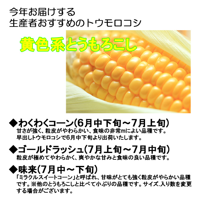 とうもろこし 甘い トウモロコシ 味来 4kg...の詳細画像1
