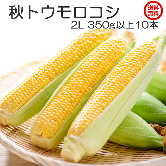 沖縄県産 朝採りスイートコーン 約1キロ - 野菜