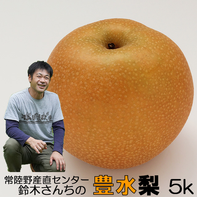  L Ȃ ؂񂿂 n L  G  Lȏ`6L 5kg   p a Japanese pear