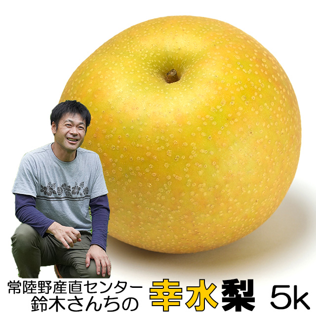 ⚠️ Kei ♡⚠️茨城県産　梨/甘ひびき　秀品/5キロ ⚠️ Kei ♡⚠️茨城県産 梨/甘ひびき 秀品/5キロ 甘ひびき