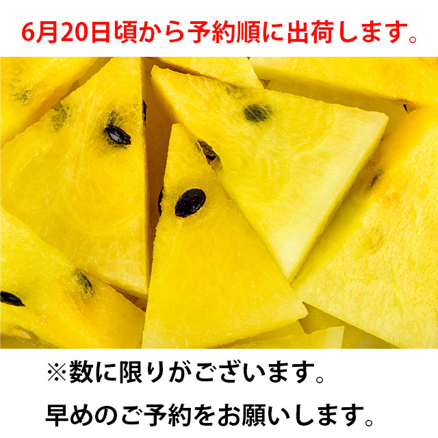 吉田さんちの金色羅皇2L以上１玉  黄色 大玉 甘い ギフト すいか 西瓜 フルーツ 茨城 お取寄せ watermelon |  | 03