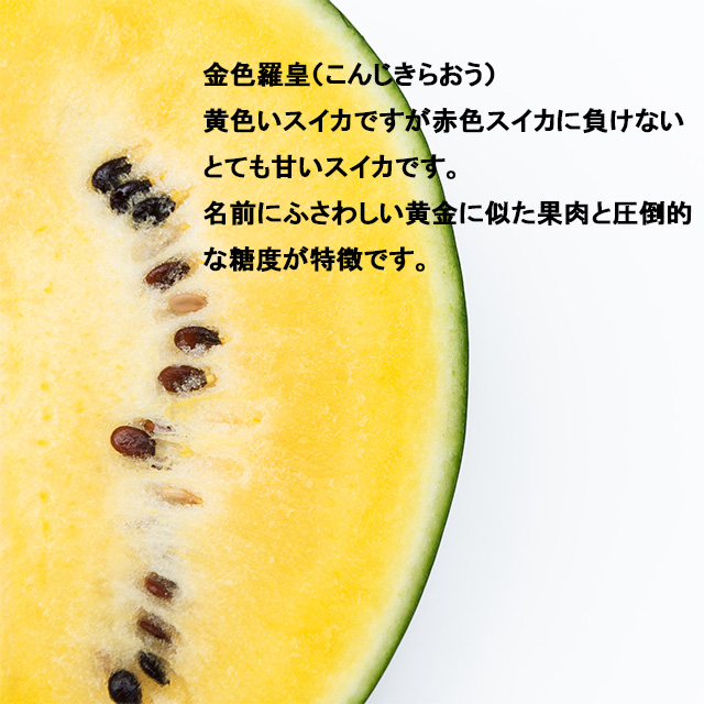 w-melon39_1.jpg