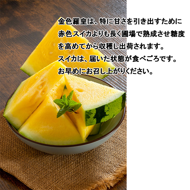 吉田さんちの金色羅皇2L以上１玉  黄色 大玉 甘い ギフト すいか 西瓜 フルーツ 茨城 お取寄せ watermelon |  | 02