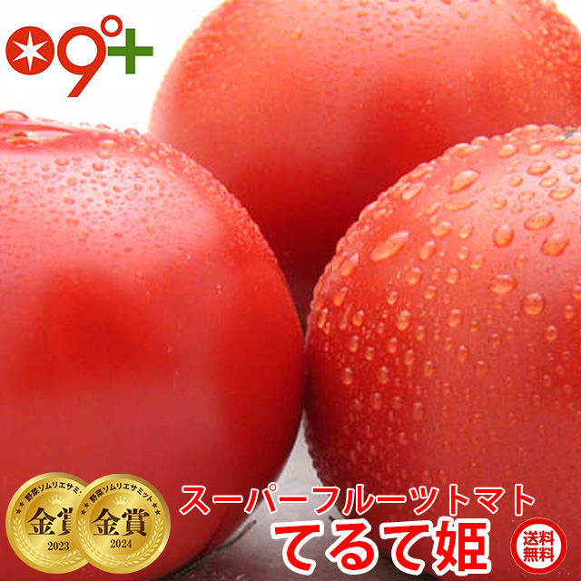ギフト フルーツトマト スーパーフルーツ トマト 小箱×2 1箱8〜12玉 約800g  とまと  贈答用 茨城 産直｜oishiine-ibaraki