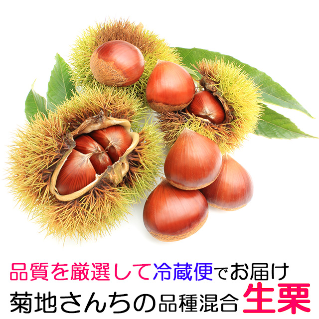 I 錧 I  N  en񂿂  I 2kg Mtg }g O 蕨 p Yn