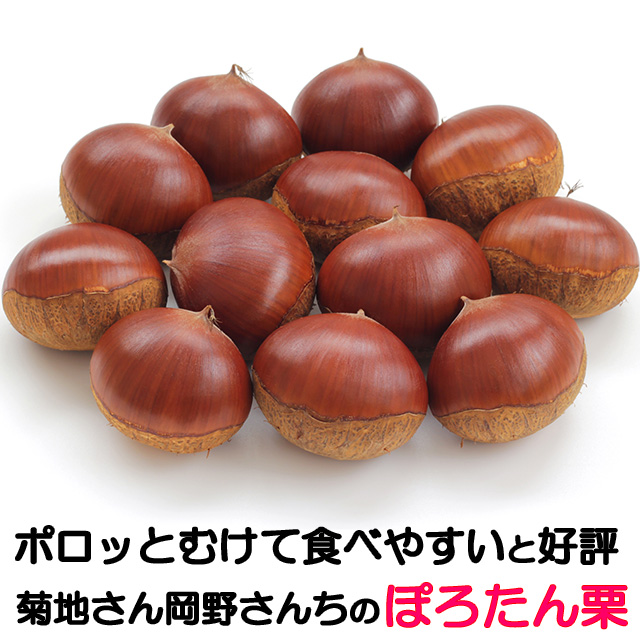 さわこ　生栗　ぽろたん　大2キロ ぽろたん」の人気商品一覧 | 安い商品を通販サイトから探す