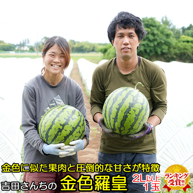 ムーンストーン月とりんご [A034BN] | 店舗,吉岡製菓 | 旅する