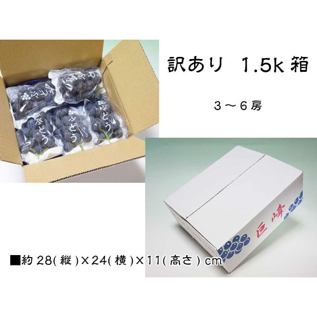 ねこ茨城県産 種有り巨峰 ぶどう 1キロ 4箱 爆買 訳あり 種あり 巨峰 ブドウ ぶどう 葡萄 鈴木さんちの訳あり種