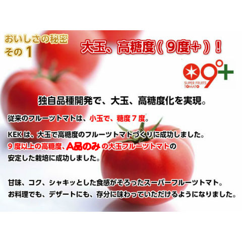 とまと様　ご購入分になります フルーツトマト ギフト てるて姫 スーパーフルーツトマト 大箱