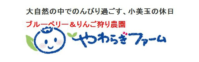 小美玉の休日,ブルーベリー,ぶるーべりー,ジャム,じゃむ,やわらぎファーム,ギフト,贈り物,送料無料