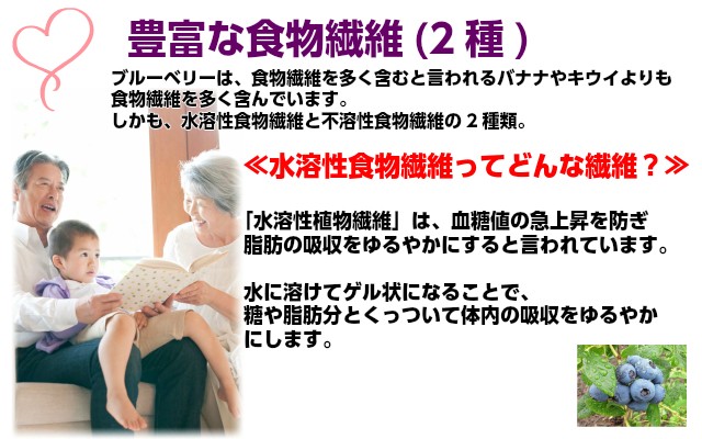 水溶性食物繊維,ブルーベリー,ぶるーべりー,ジャム,じゃむ,やわらぎファーム,ギフト,贈り物,送料無料