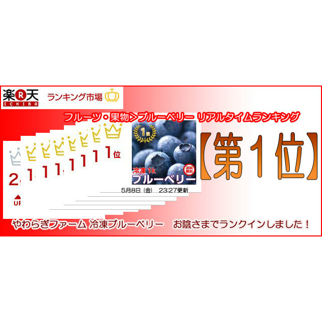 ブルーベリー 冷凍 1kg 500g×2 お中元 ギフト 贈答用 茨城県 ブルーベリー 冷凍 1kg 500g×2 お中元 ギフト 贈答用 茨城県