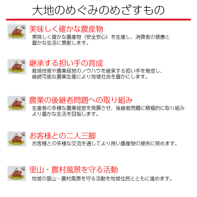 吉田さんちの金色羅皇2L以上１玉  黄色 大玉 甘い ギフト すいか 西瓜 フルーツ 茨城 お取寄せ watermelon |  | 06