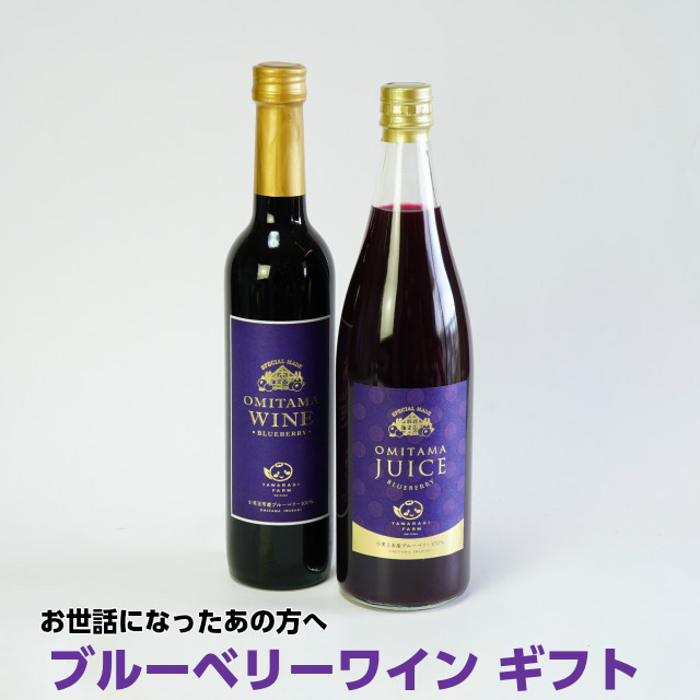u[x[C Mtg  u[x[C500ml×1{ 炬ʎ 720ml×1{Zbg  u[x[ C W[X