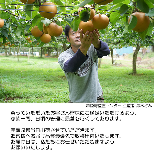 梨 幸水 なし 鈴木さんちの 完熟 幸水梨 秀 L以上〜6L 5kg箱