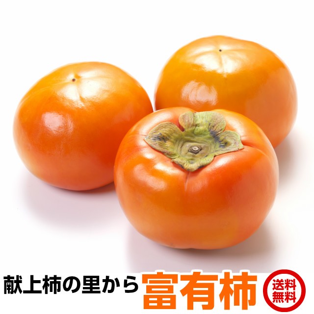 ` Mtg xL` 3L 12 4kg  xL  p HMtg t[c 錧Y Yn persimmon ̓