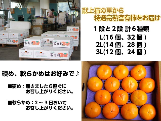 富有柿は、１段（4kg）と２段（7.5kg）の計６種類。L(16個、32個) 2L(14個、28個) 3L(12個、24個) 硬めは届きましたら直ぐに、軟らかめは2〜3日置いてお召し上がりください。ギフトに最適,柿,富有柿,お歳暮,ギフト,JAやさと柿